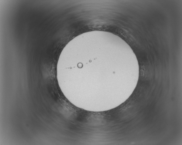 X0000074260820200608251224