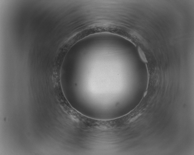 X0000074260822200608251224