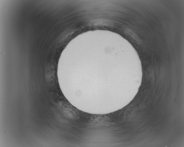 X0000074260824200608251224