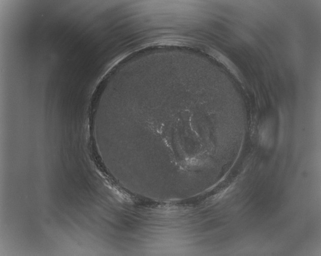 X0000074260829200608251224