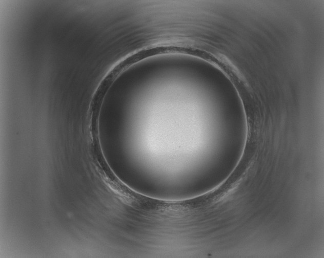 X0000074260830200608251224