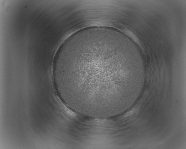 X0000074260831200608251224