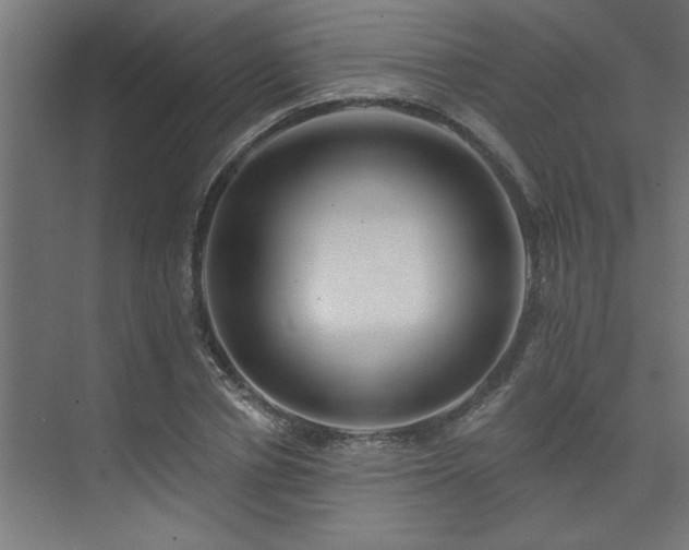 X0000074260834200608251224