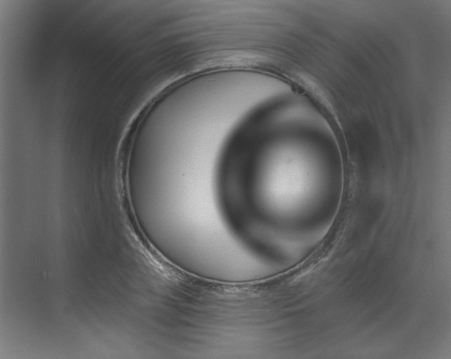 X0000074260835200608251224