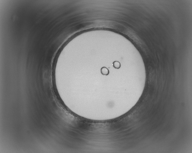 X0000074260836200608251224