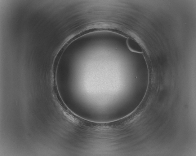 X0000074260837200608251224