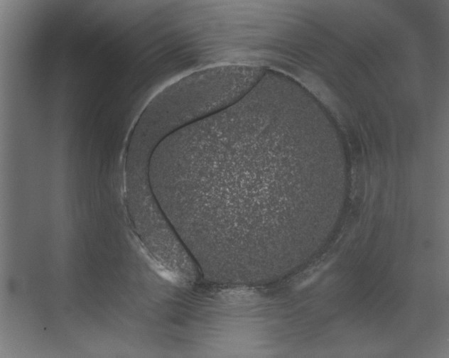 X0000074260838200608251224