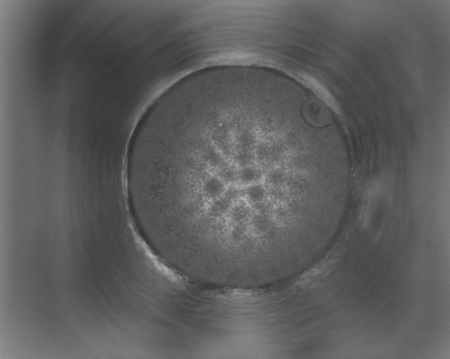 X0000074260839200608251224