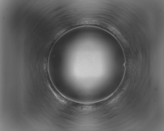 X0000074260841200608251224