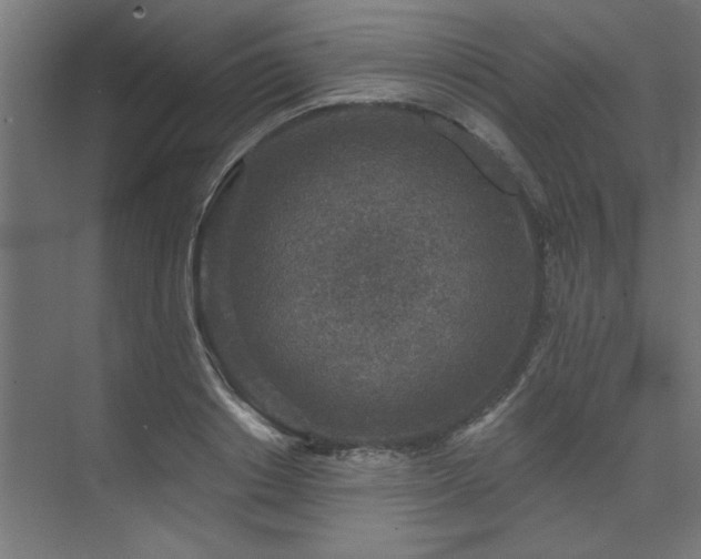 X0000074260842200608251224