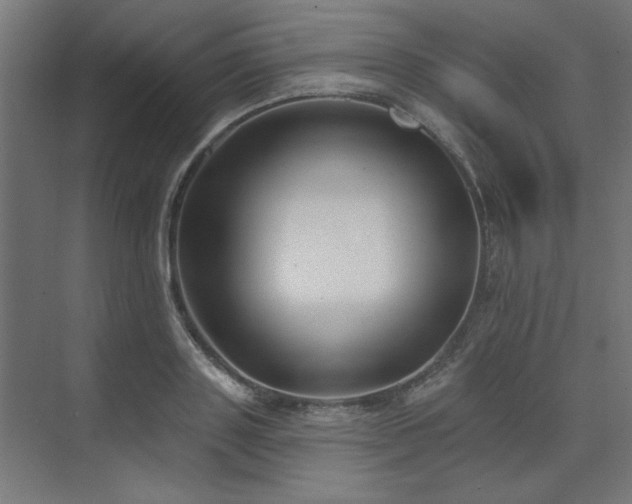 X0000074260843200608251224