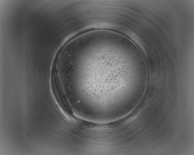 X0000074260845200608251224