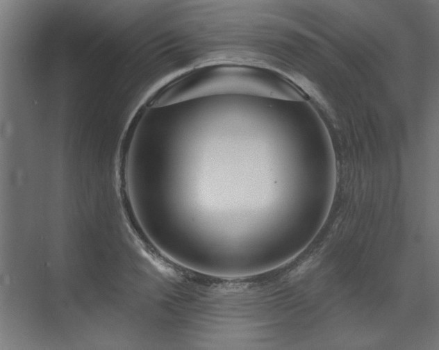 X0000074260846200608251224