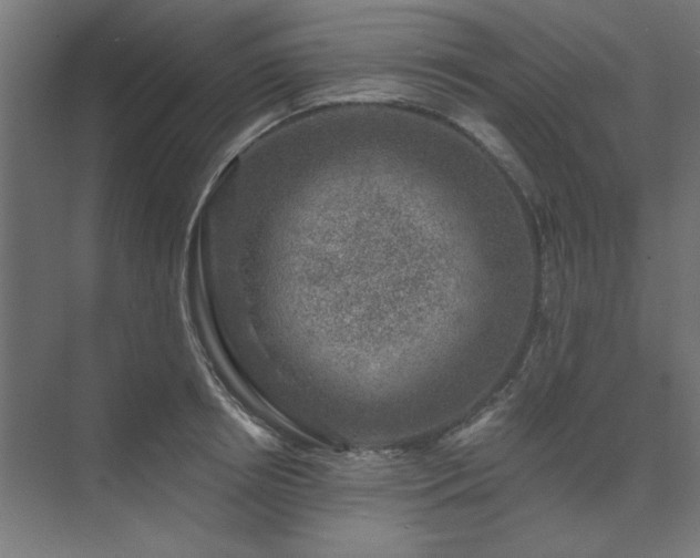 X0000074260850200608251224