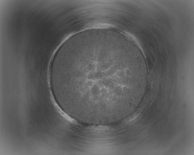 X0000074260851200608251224