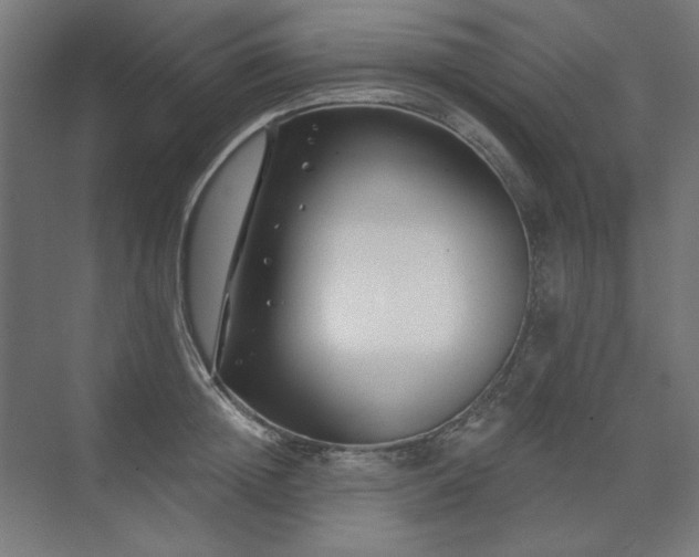 X0000074260852200608251224