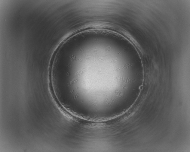 X0000074260853200608251224