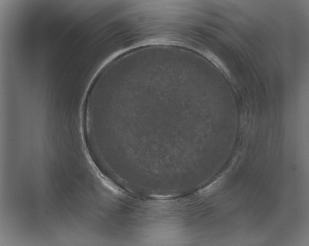 X0000074260854200608251224