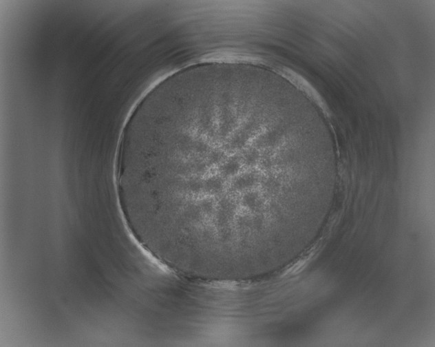 X0000074260855200608251224