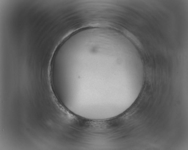 X0000074260856200608251224