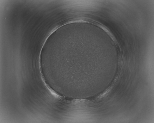 X0000074260858200608251224