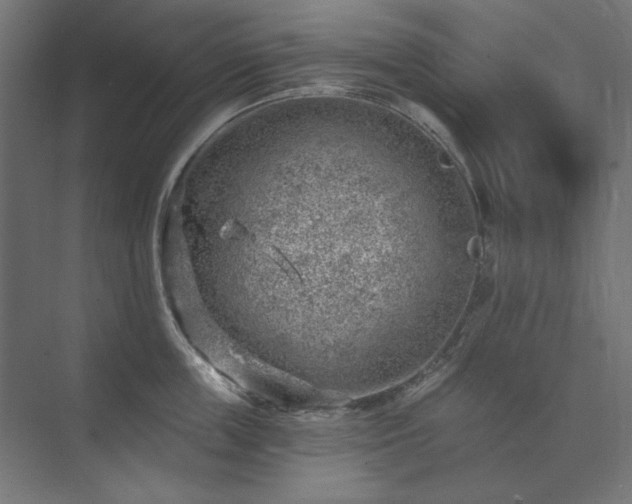 X0000074260859200608251224