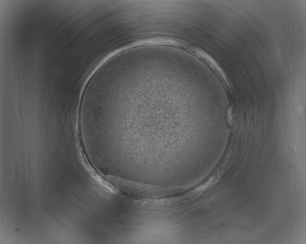 X0000074260860200608251224