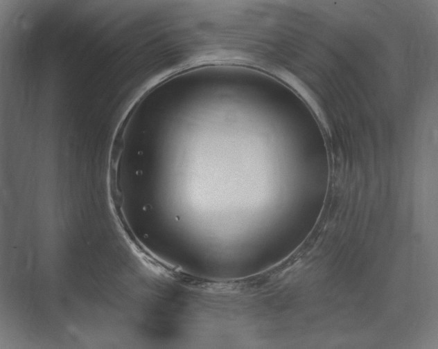 X0000074260861200608251224