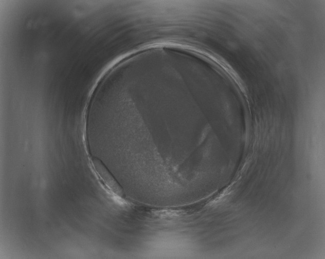 X0000074260862200608251224