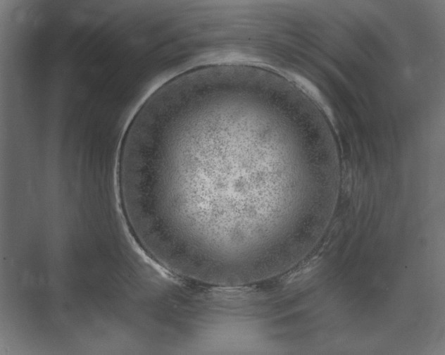 X0000074260863200608251224