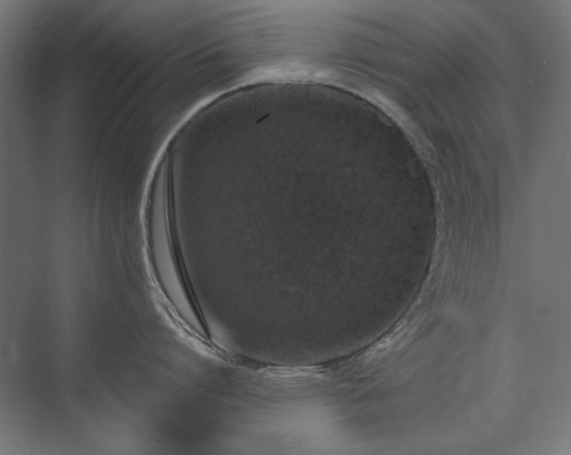 X0000074260864200608251224