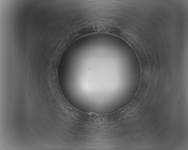 X0000074260865200608251223