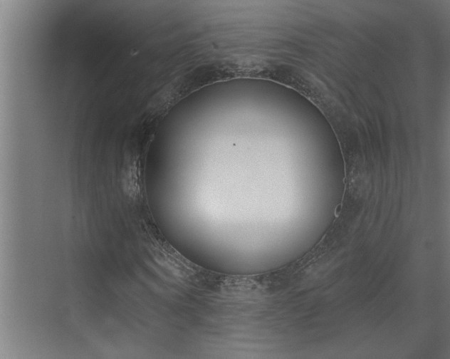 X0000074260866200608251223