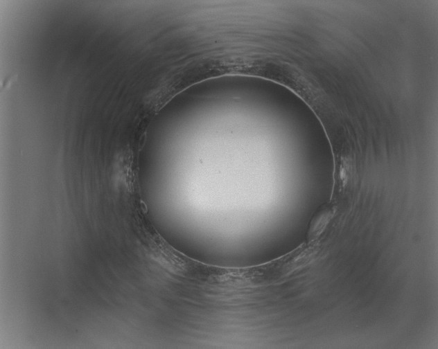 X0000074260867200608251223