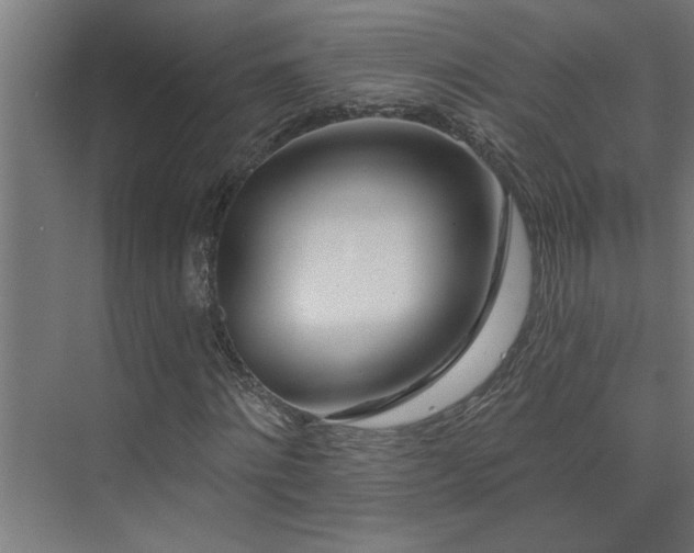 X0000074260868200608251223