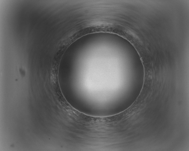 X0000074260869200608251223