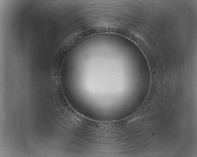 X0000074260870200608251223