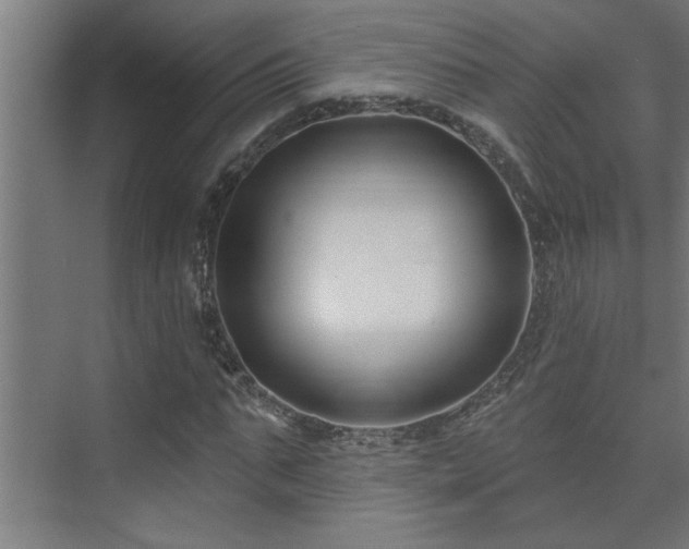 X0000074260871200608251223