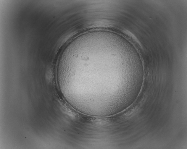 X0000074260874200608251223