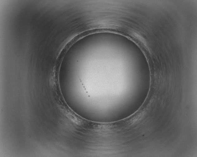 X0000074260875200608251223