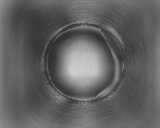 X0000074260876200608251223