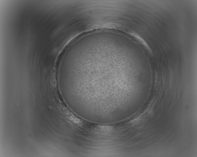 X0000074260878200608251223