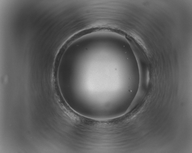 X0000074260880200608251223