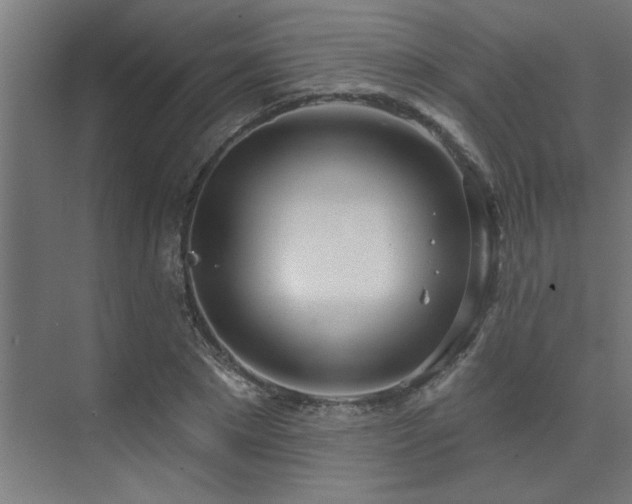 X0000074260881200608251223