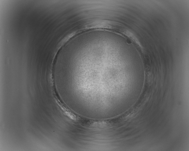 X0000074260882200608251223