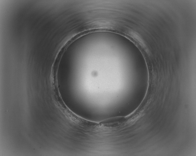 X0000074260883200608251223