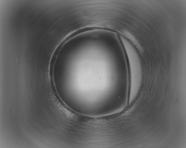 X0000074260884200608251223