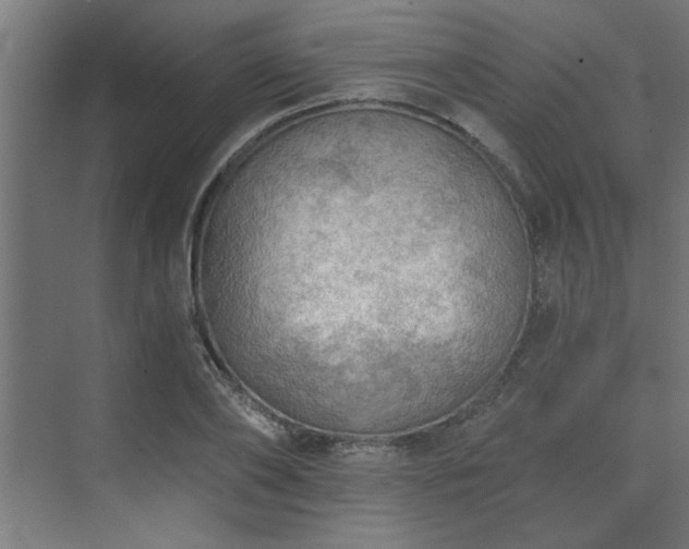 X0000074260886200608251223