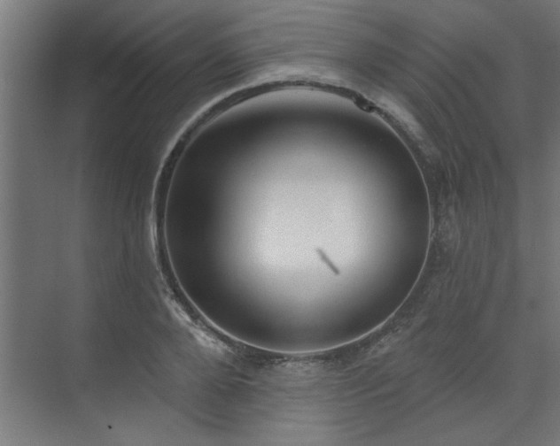 X0000074260888200608251223