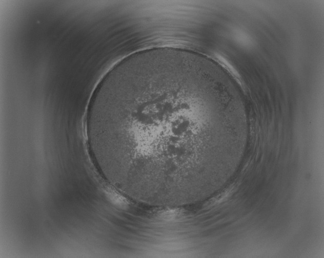 X0000074260891200608251223